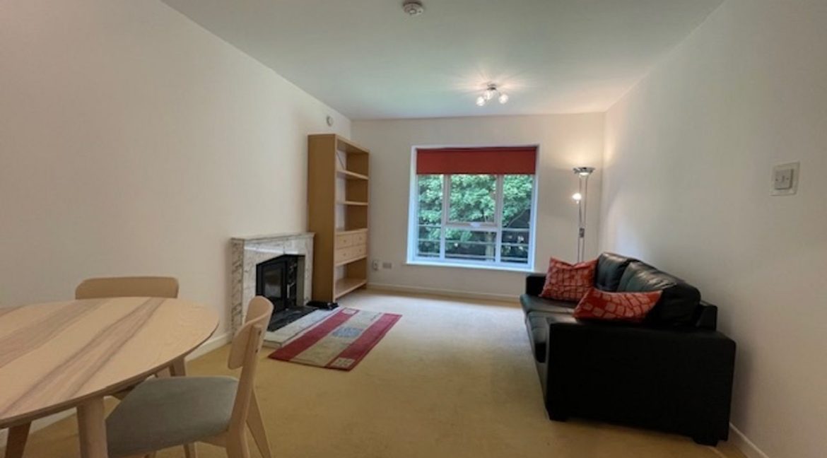 519536-large-3.jpg