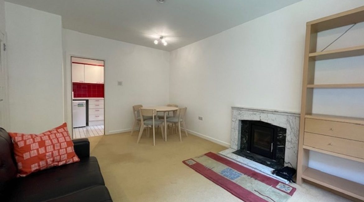 519536-large-7.jpg