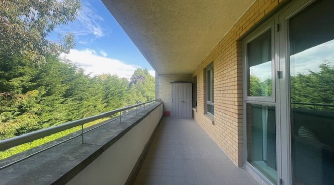 520097-large-13.jpg