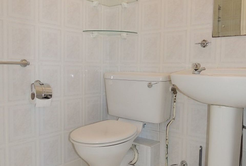 520989-large-11.jpg