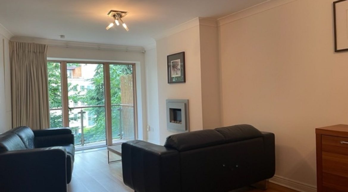 479665-large-1.jpg
