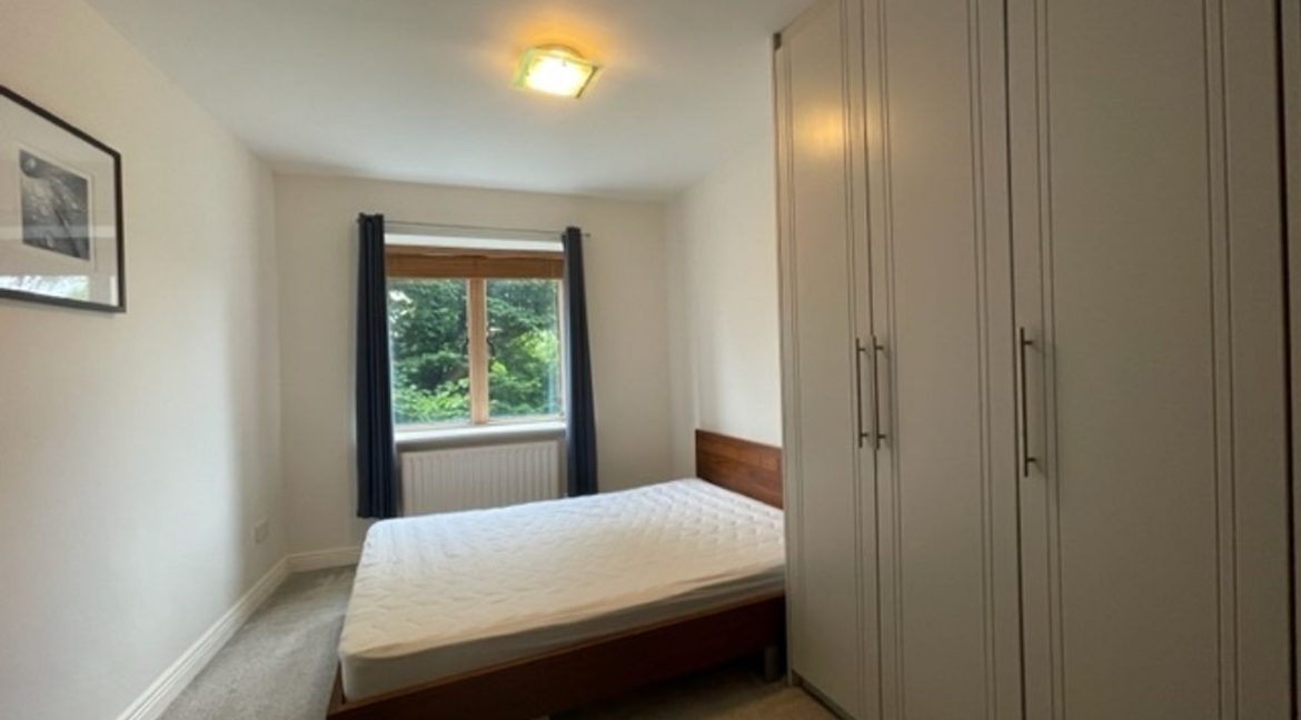 479665-large-5.jpg