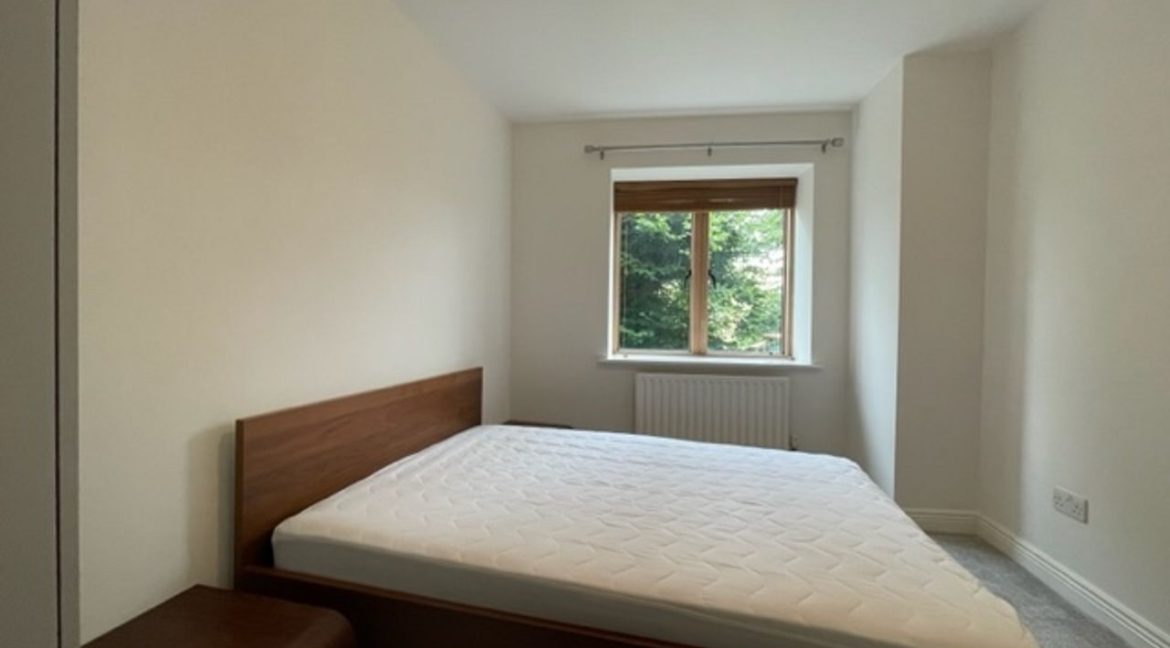 479665-large-7.jpg