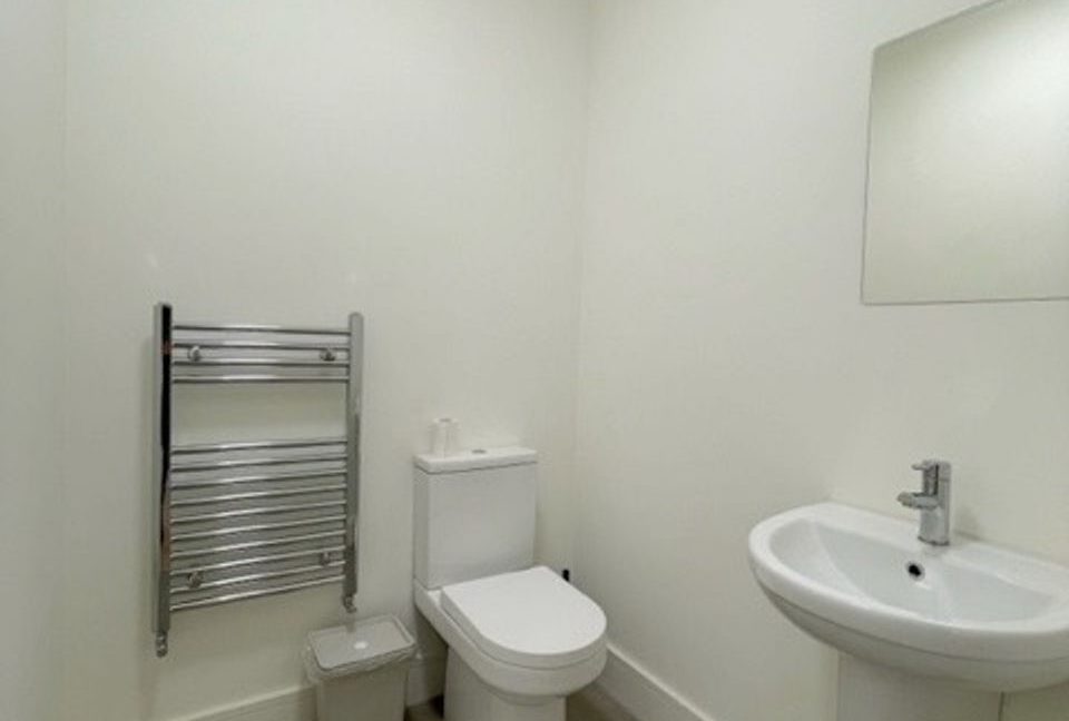 521663-large-6.jpg