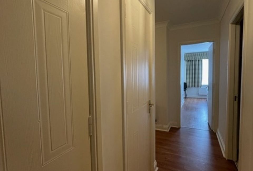 487486-large-12.jpg