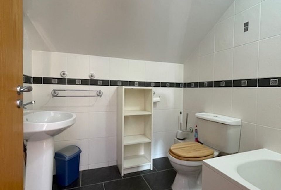 477115-large-13.jpg