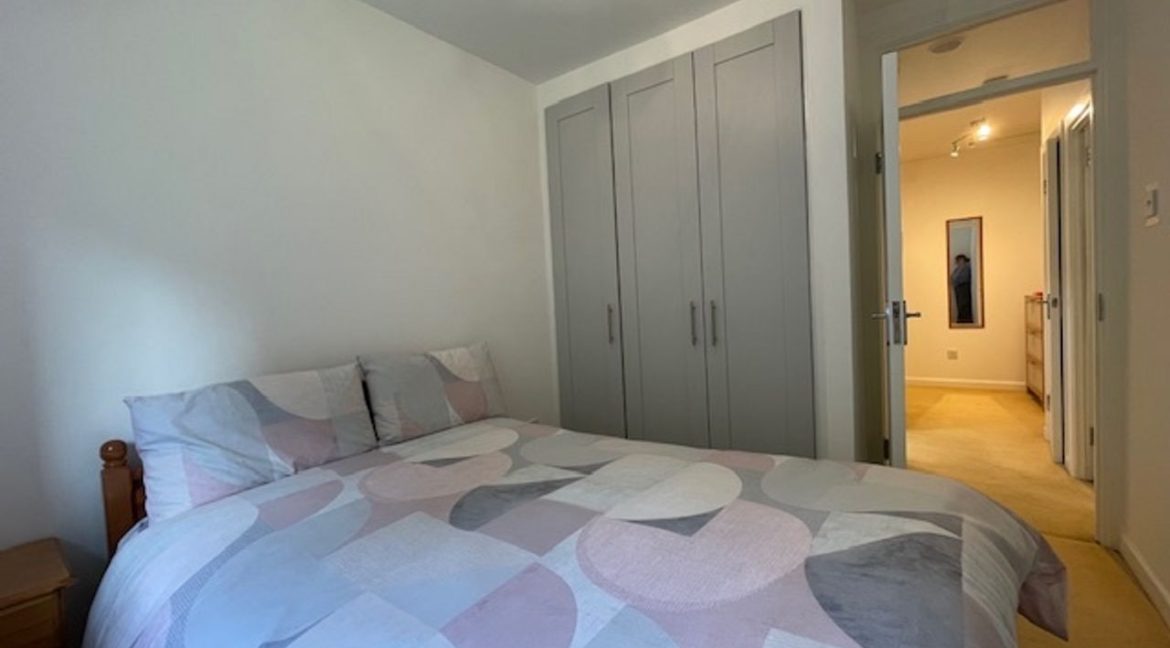 519536-large-12.jpg
