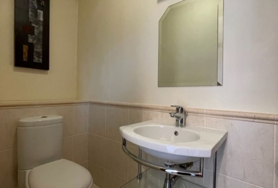 463711-large-14.jpg