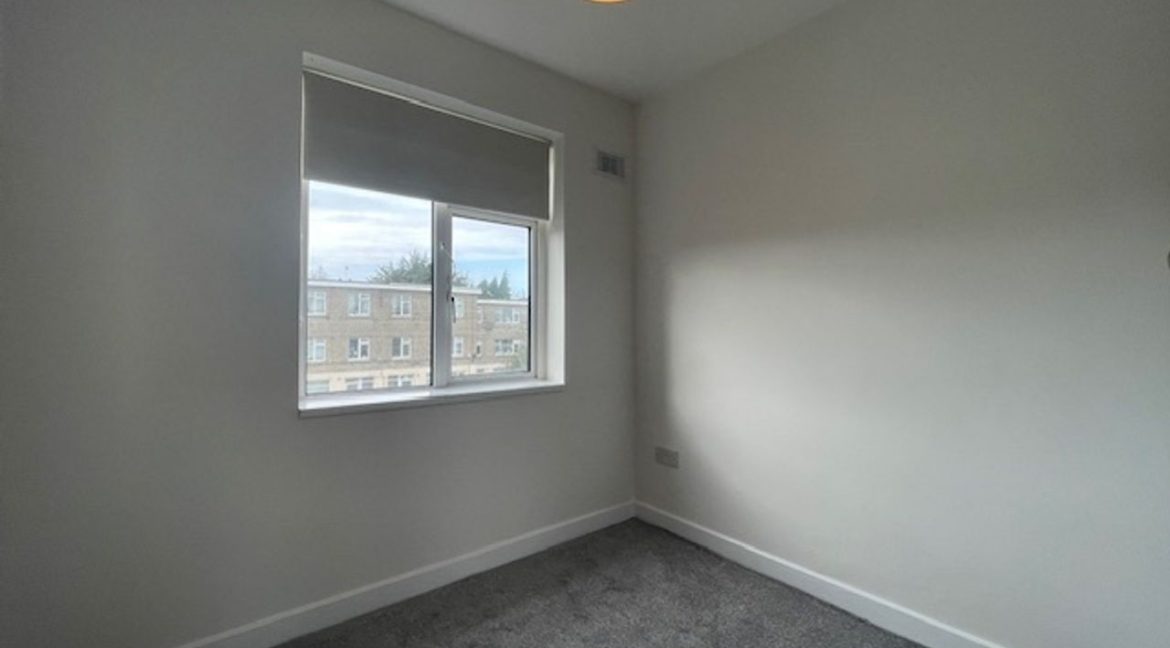 463804-large-8.jpg