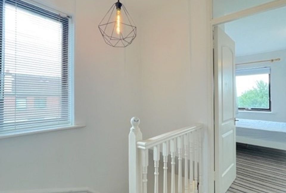 443028-large-9.jpg