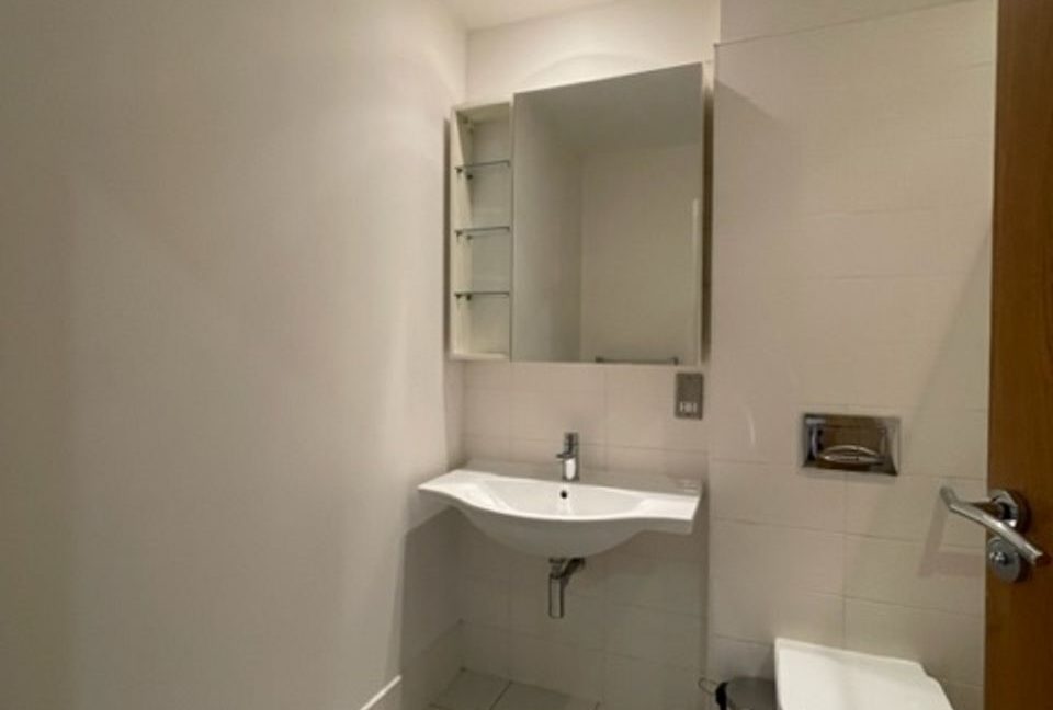 443202-large-4.jpg