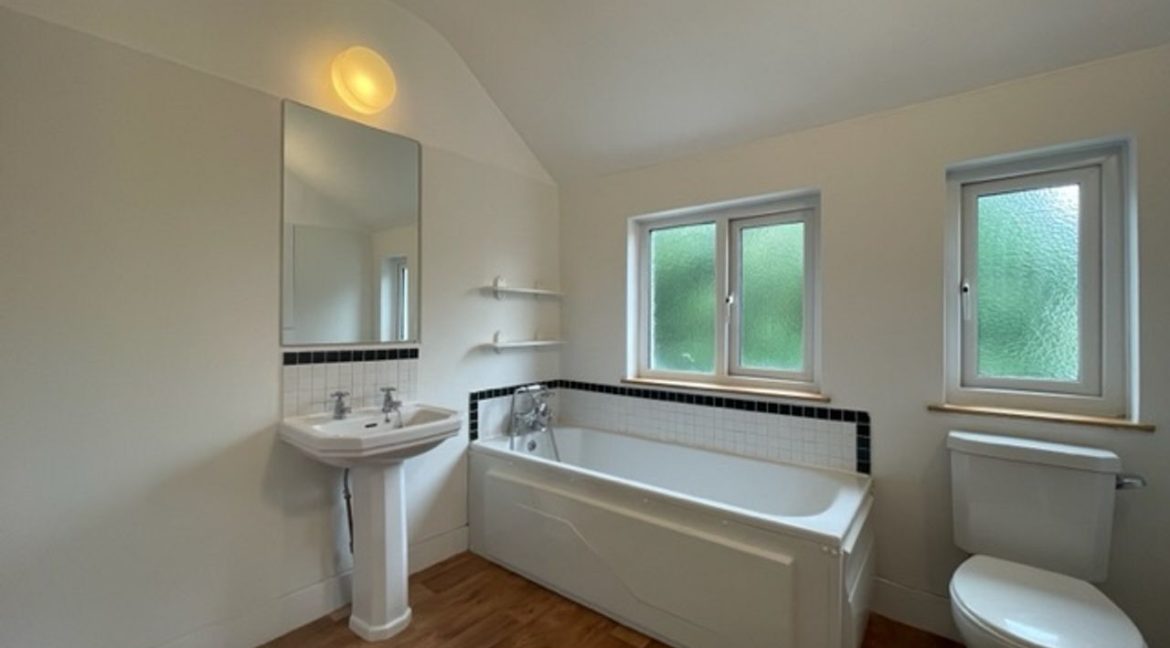 447705-large-18.jpg