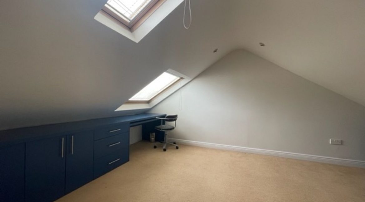 447705-large-20.jpg
