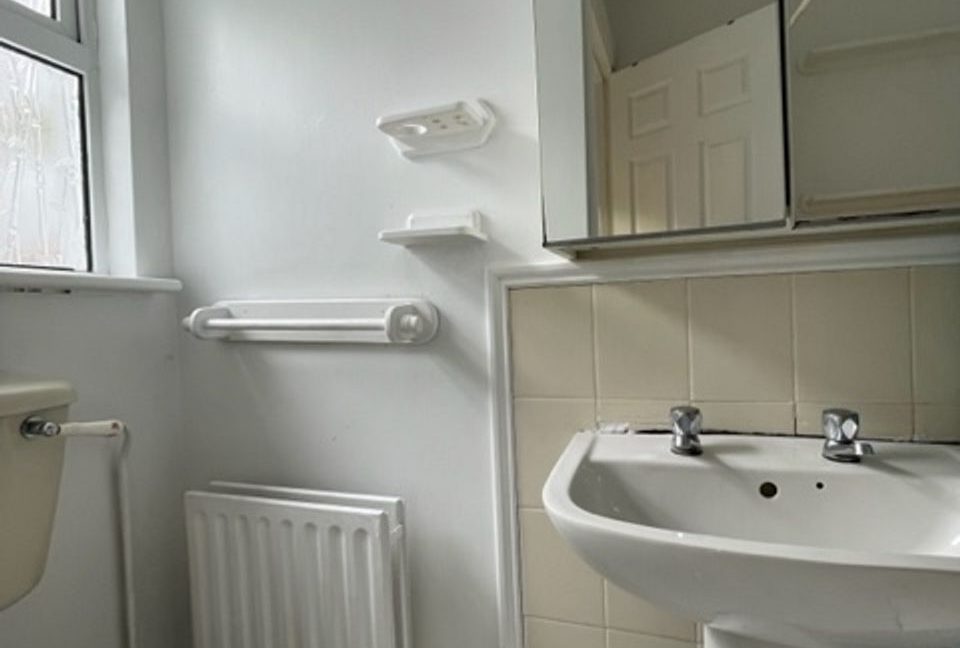 448469-large-9.jpg