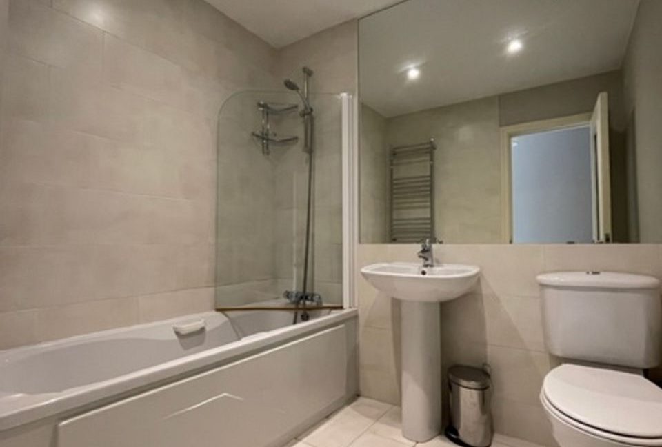 507136-large-11.jpg