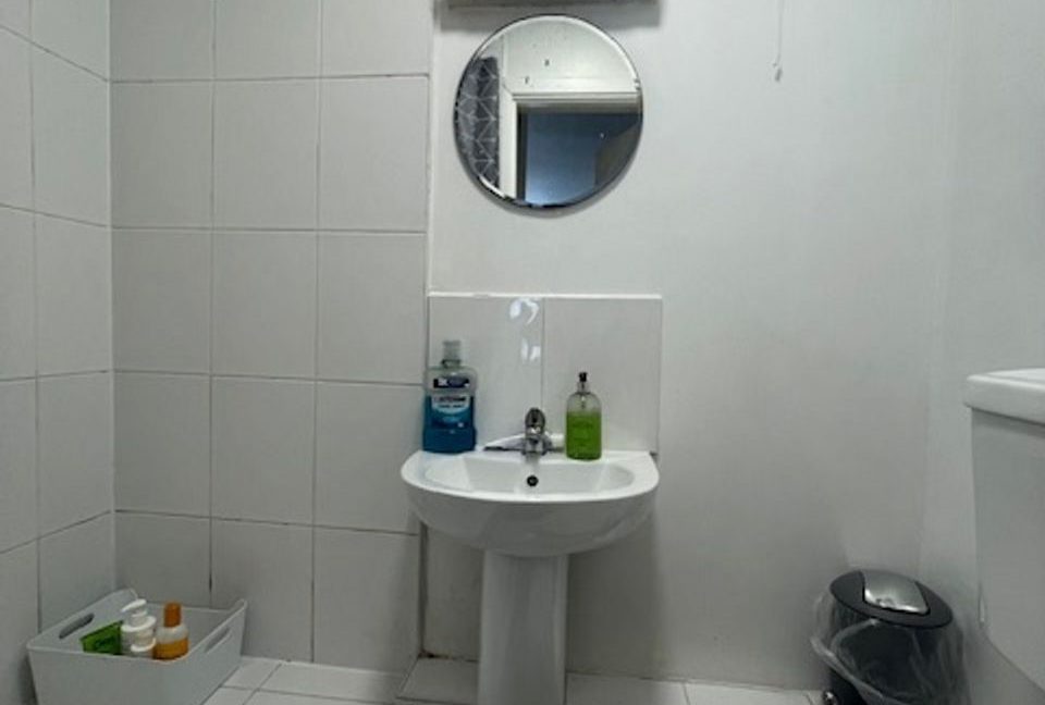 509402-large-3.jpg