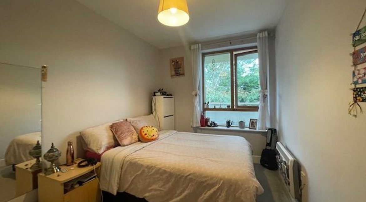 516524-large-6.jpg